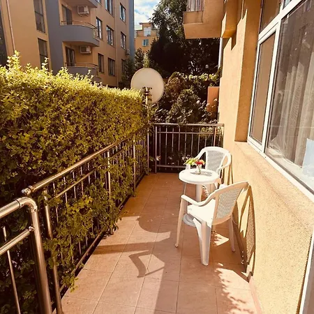 Mountaine Breeze 2 Sunny